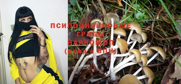 амф Абдулино