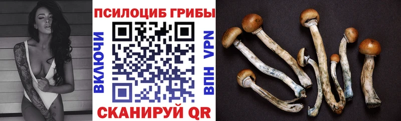 Псилоцибиновые грибы MAGIC MUSHROOMS  купить наркотики сайты  Нефтеюганск 