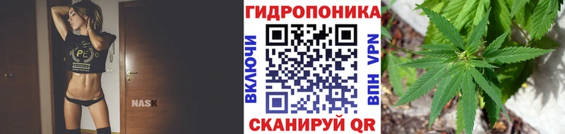 где найти наркотики Нефтеюганск Шишки марихуана Bruce Banner